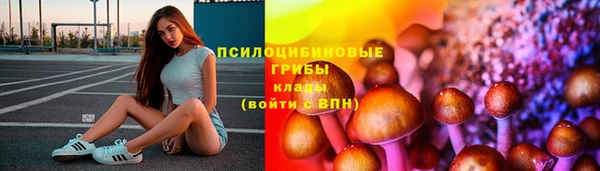 бошки Дмитровск