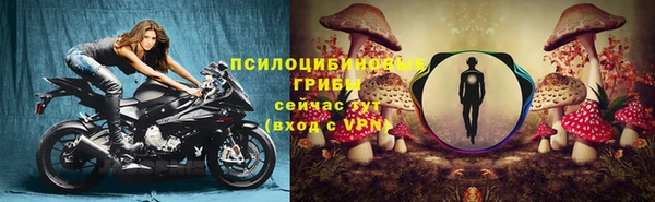 jwh Гусев
