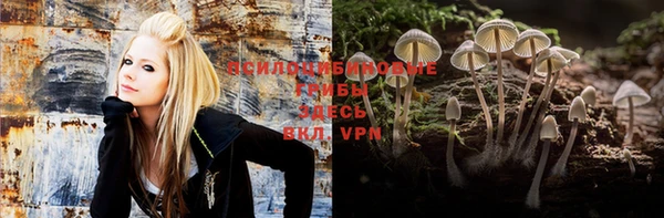 apvp Гусь-Хрустальный